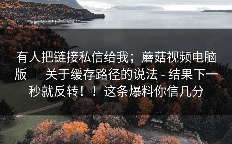 有人把链接私信给我；蘑菇视频电脑版 ｜ 关于缓存路径的说法 - 结果下一秒就反转！！这条爆料你信几分